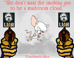We don't want the smoking gun to be a mushroom cloud. - Condi Rice