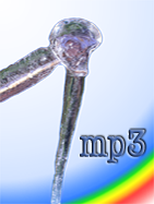 Ice Stylus MP3 logo