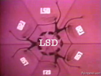 The Government on LSD