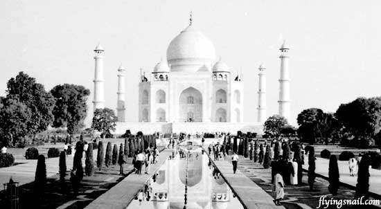 Taj - India