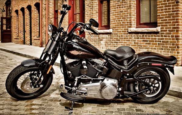 2010 Harley-Davidson Cross Bones