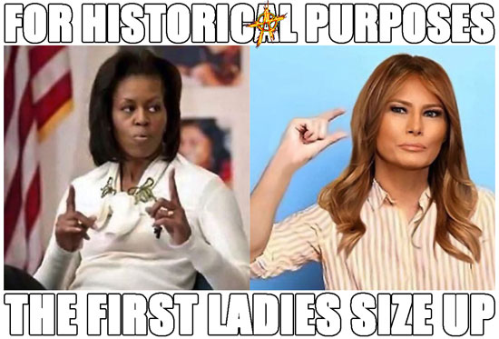 For historical purposes, The First Ladies Size Up?