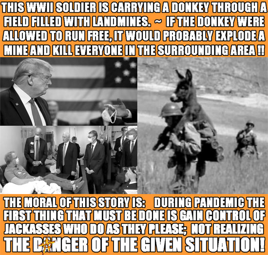 THIS WWII SOLDIER IS CARRYING A DONKEY THROUGH A FIELD FILLED WITH LANDMINES. ~  IF THE DONKEY WERE ALLOWED TO RUB FREE, IT WOULD PROBABLY EXPLODE A MINE & KILL EVERYONE IN THE SURROUNDING AREA !!!  THE MORAL OF THIS STORY IS:   DURING PANDEMIC THE FIRST THING THAT MUST BE DONE IS GAIN CONTROL OF JACKASSES WHO DO AS THEY PLEASE; NOT REALIZING  THE DANGER OF THE GIVEN SITUATION!