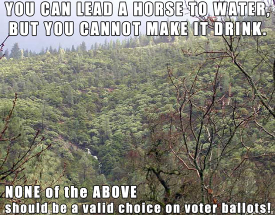 You can lead a horse to water, but you cannot make it drink. NONE of the ABOVE should be a valid choice on voter ballots, Nobody for President
