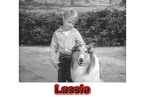Lassie