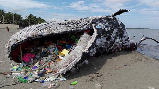 A Greenpeace Philippines display after a sperm whale was found in Indonesia with 1000 plastic piece in its stomach.