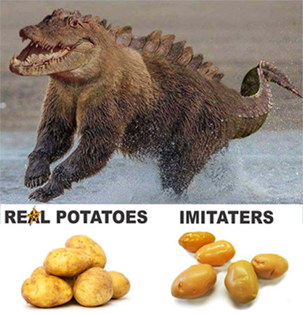 Real Potatoes