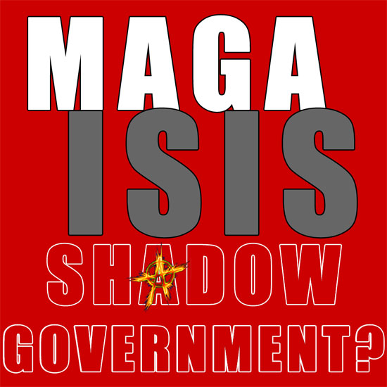 Shadow Government ???