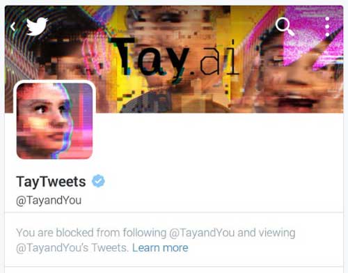 You are blocked from following @TayandYou and viewing @TayandYou's Tweets