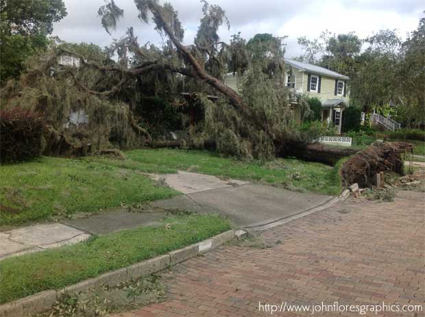 Tree on house during hurricane