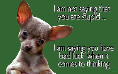Dog says what? ~ I am not saying that you are stupid ... I am saying you have bad luck when it comes to thinking