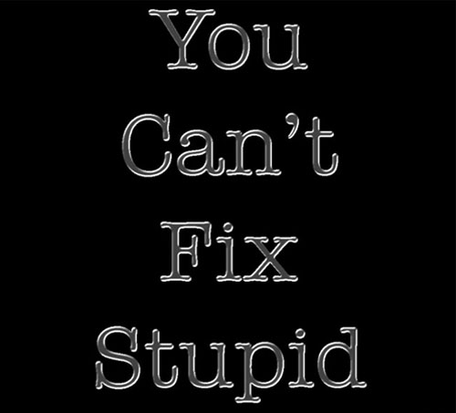 You Can't Fix Stupid